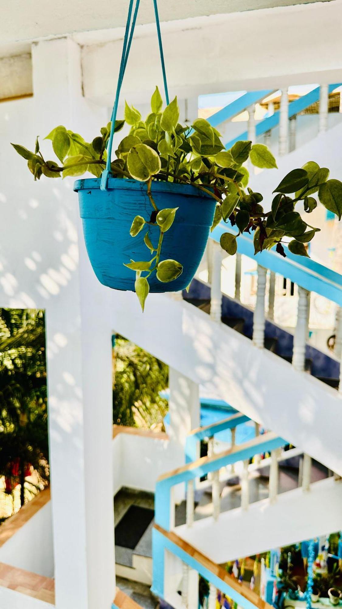 Omkar Wellness Inn Arambol Exterior foto